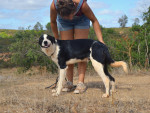 tuli1