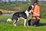 tuli10