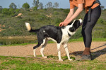 tuli12