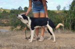 tuli5