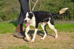 tuli6