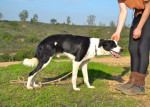 tuli7