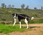 tuli9