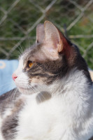 wendy katze profil.2.23 wendy katze profil.2.23